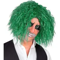 Widmann Groene creepy Joker clownspruik