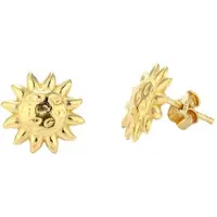 Radiant Ry000155 Oorbellen
