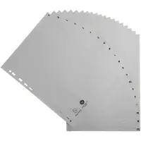 Exacompta 20x Tabbladen met bedrukte tabs in gerecycled PP - 20 tabs - A tot Z - A4 - Grijs - 1720E