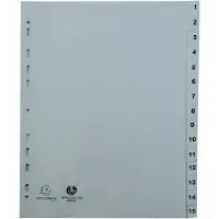 Exacompta 20x Tabbladen met bedrukte tabs in gerecycled PP - 15 tabs - 1 tot 15 - A4 - Grijs - 1715E