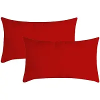 Stof Textile sierkussen Nelson - 2x - rood - 30 x 50 cm - bank kussens - zitkussens - binnen/buiten - polyester