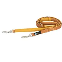 AnnyX Verstelbare Hondenriem – 3 Meter – 2,5 cm Breed – Voor Middelgrote en Grote Honden-goudlokje-okergeel