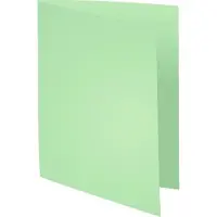 Exacompta 5x FOREVER 170 - Pak van 100 dossiermappen 170g/m2- 24x32cm voor A4. - Grasgroen - 420004E
