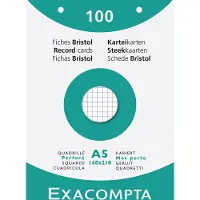 Exacompta 10x etui 100 steekkaarten bristol geruit 5x5 geperforeerd 148x210mm - Wit - 13608E