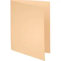 Exacompta 5x FOREVER 170 - Pak van 100 dossiermappen 170g/m2- 24x32cm voor A4. - Gems - 420002E