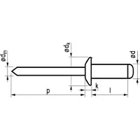 Master Popnagel Alu/Stl 1031 4,8X30Mm 250