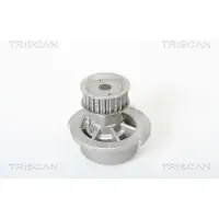 TRISCAN 8600 24003 Waterpomp