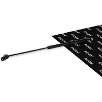 RIDEX 219G0595 Gasveer achterklep