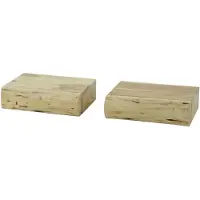 Molecule Nachtkastje 1L set/2 tree XS Massief Acacia Naturel