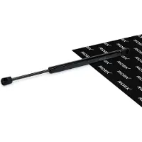 RIDEX 219G0387 Gasveer achterklep