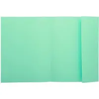 Exacompta 1-Flap map 339004E Lichtgroen Karton 24 x 32 cm 250 Stuks