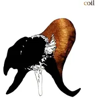 Konkurrent Coil - Black Antlers (2 LP)