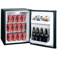 Polar Mini Koelkast met Slot | 30L | Staal - BEST VERKOCHT