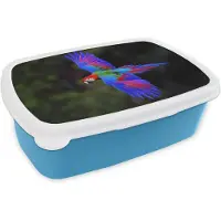 MuchoWow Broodtrommel Blauw - Lunchbox Felgekleurd - Papegaai - Bos - Vleugels - Brooddoos 18x12x6 cm - Brood lunch box - Broodtrommels voor kinderen en volwassenen