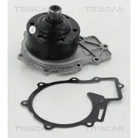 TRISCAN 8600 23071 Waterpomp