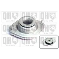 Quinton Hazell EMR4954 Veerpootlager