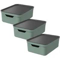 Rotho Jive opbergboxen set van 3 Opbergdozen 10 L met Deksel, Kunststof (PP Gerecycled), Groen /Antraciet, 3 x 10 L, 36,5X26,5X13CM