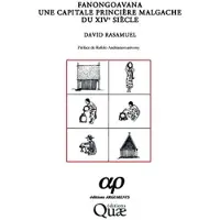 Quae Fanongoavana une capitale princière malgache du XIVe siècle