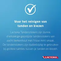 Lactona 3x Intersticks Tandenstokers 100 Stuks