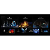 TCL QD-Mini LED 4K TV 55C69KS (2025) - 55 inch