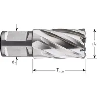 Rotec HSS Kernboor SILVER-LINE, weldon 19, ø12x30 - 536.1200W - 536.1200W