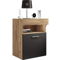 Hioshop SlepalM nachtkastje 1 deur 1 plank antraciet, eik decor.