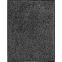 Floordirekt Vuilvangmat Use&Wash - Antislip Deurmat - Veelzijdig Inzetbaar - Antraciet - 135 x 200 cm - Onderhoudsvriendelijk, Slijtvast & Ideaal voor Hal, Entree en Woonruimte