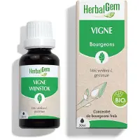 Herbalgem Wijnstok Bio 30 ml Druppels