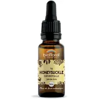 Biofloral Bachbloesems 16 Kamperfoelie Bio 20 ml Druppels