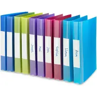 Rapesco Pqt de 10 Classeurs 2 Anneaux 25mm A4 couleurs vives transparentes