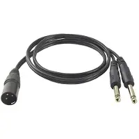 Dolphix 1x XLR (m) - 2x 6,35mm Jack mono (m) kabel | 1 meter
