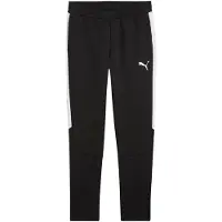 Puma Trainingsbroek teamEVOSTRIPE - Zwart/Zilver/Wit