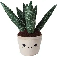 Coppens Take Me Home plant pluche XL 4 ass 45 cm |