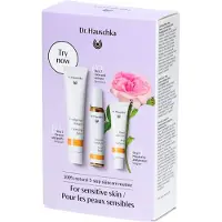Dr. Hauschka Dr.Hauschka Rose Trial Kit Pakket - 1stuks