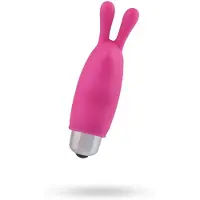 Toyz4Lovers Roze Toys4Lovers - clitoris mini vibrator - 8.5cm