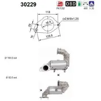 As 30229 Katalysator