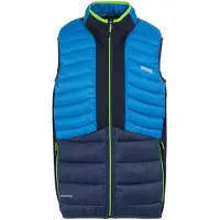 Regatta Heren Leedre Hybride Gilet (Olympisch Blauw/Navy)