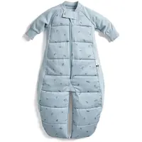 ErgoPouch Sleepsuit Slaapzak - 2,5 Tog - Slaapzak- Slaapzak baby - Slaapzakken - Slaapzak kind winter - 8-24 md - Slaapzak 90 cm - Dragonflies