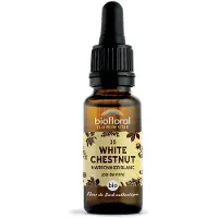 Biofloral Bachbloesems Nr. 35 White Chestnut | 20 ml