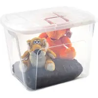 PlasticForte Opbergkist met deksel - Multi Purpose Box - 75 liter - 60x42x43 cm - kunststof - transparant