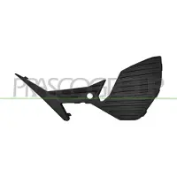 PRASCO PG4322124 Ventilatiegrille, bumper