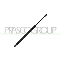 PRASCO VG1019055 Gasveer achterklep