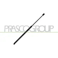 PRASCO OP4169055 Gasveer achterklep