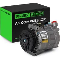 RIDEX 447K0100R Aircopomp