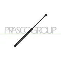 PRASCO DW3249055 Gasveer achterklep