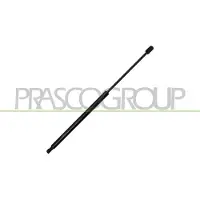 PRASCO VG8099055 Gasveer achterklep