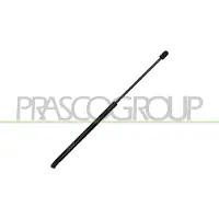 PRASCO VG0259055 Gasveer achterklep