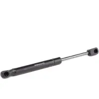 RIDEX 219G0260 Gasveer achterklep