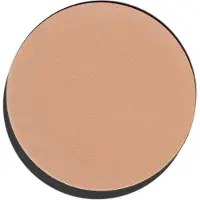 INGLOT Freedom System Perfect Finish Pressed Powder - 12 | Setting Powder | Compact Powder