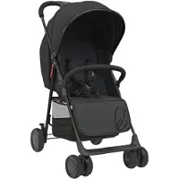 Asalvo Buggy - Nova - Black